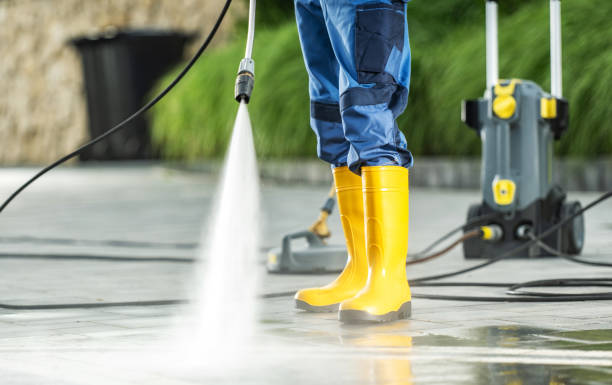 Best Exterior Home Cleaning  in Blackville, SC