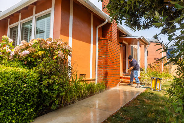 Best Residential Pressure Washing Services  in Blackville, SC