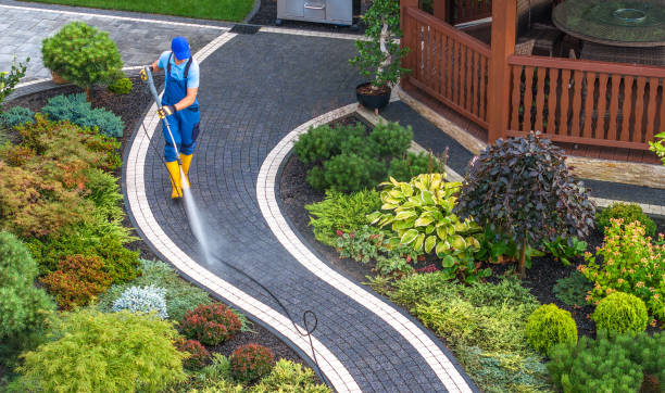  Blackville, SC Pressure Washing Pros